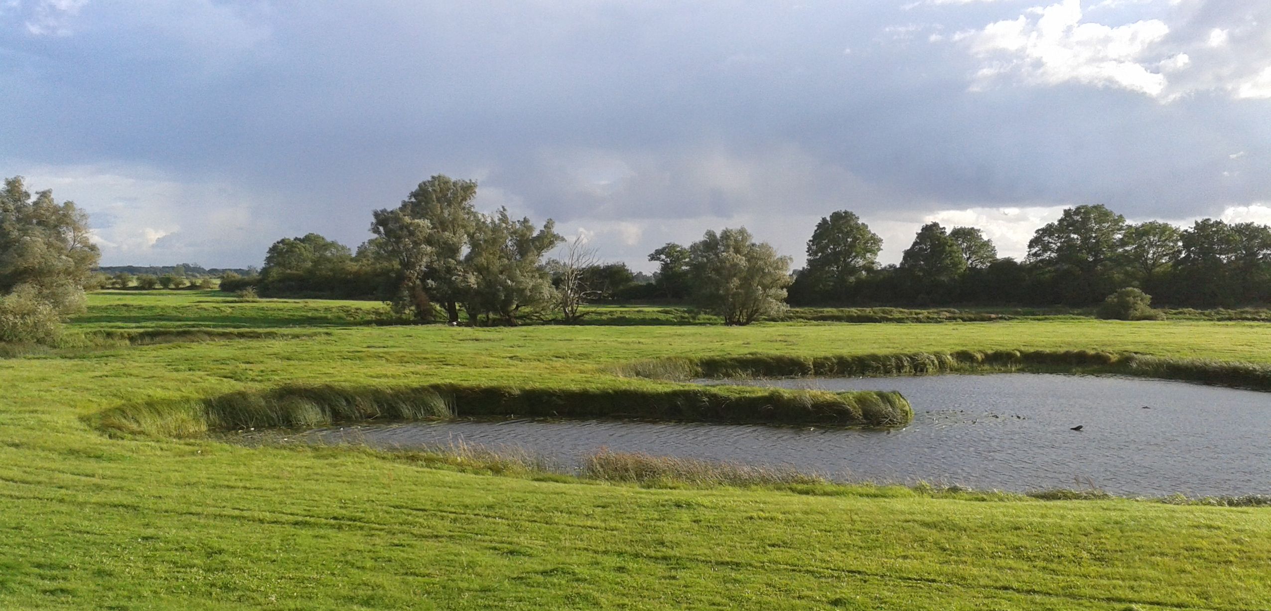 Landschaft nahe der Elbe im Sommer