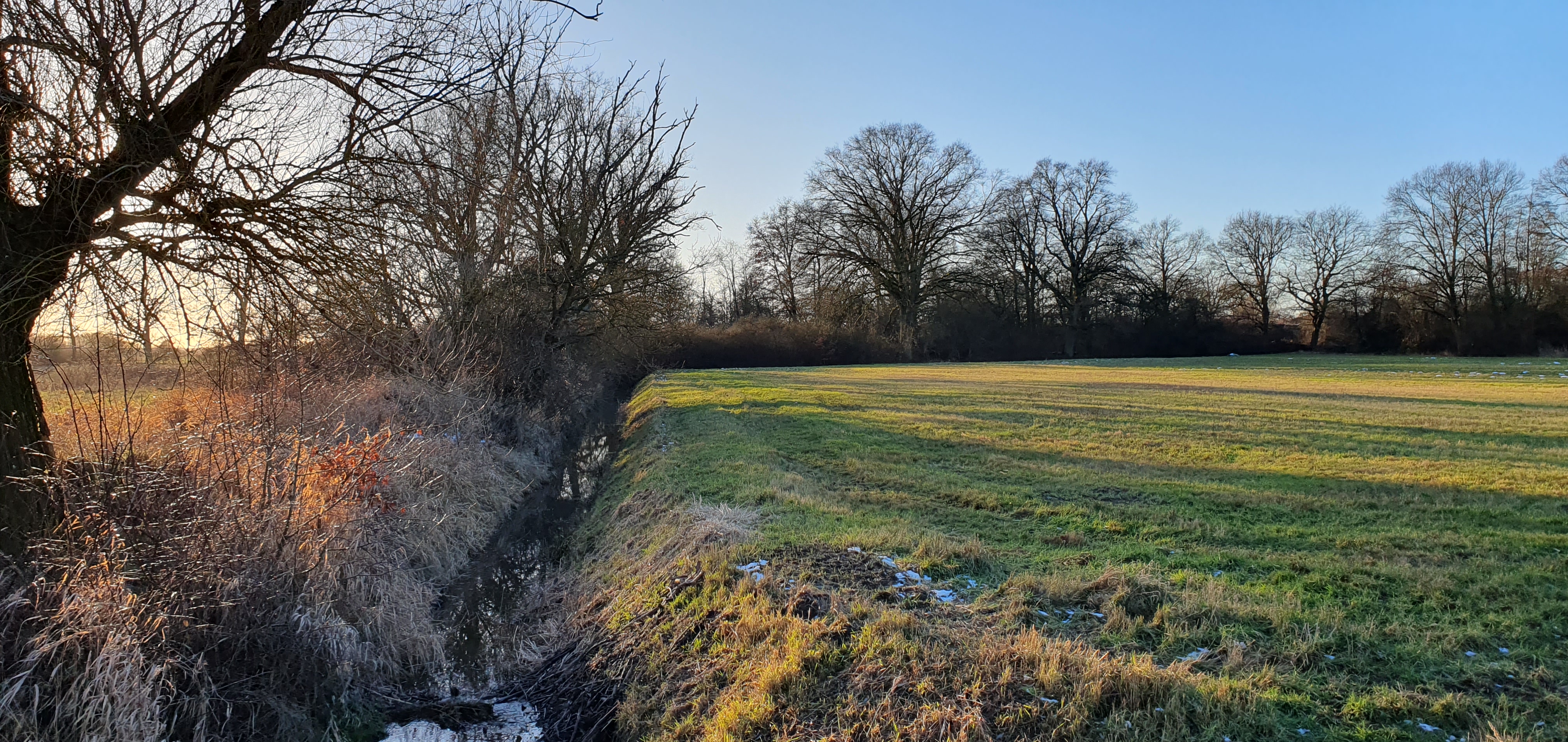 Feldlandschaft im Winter