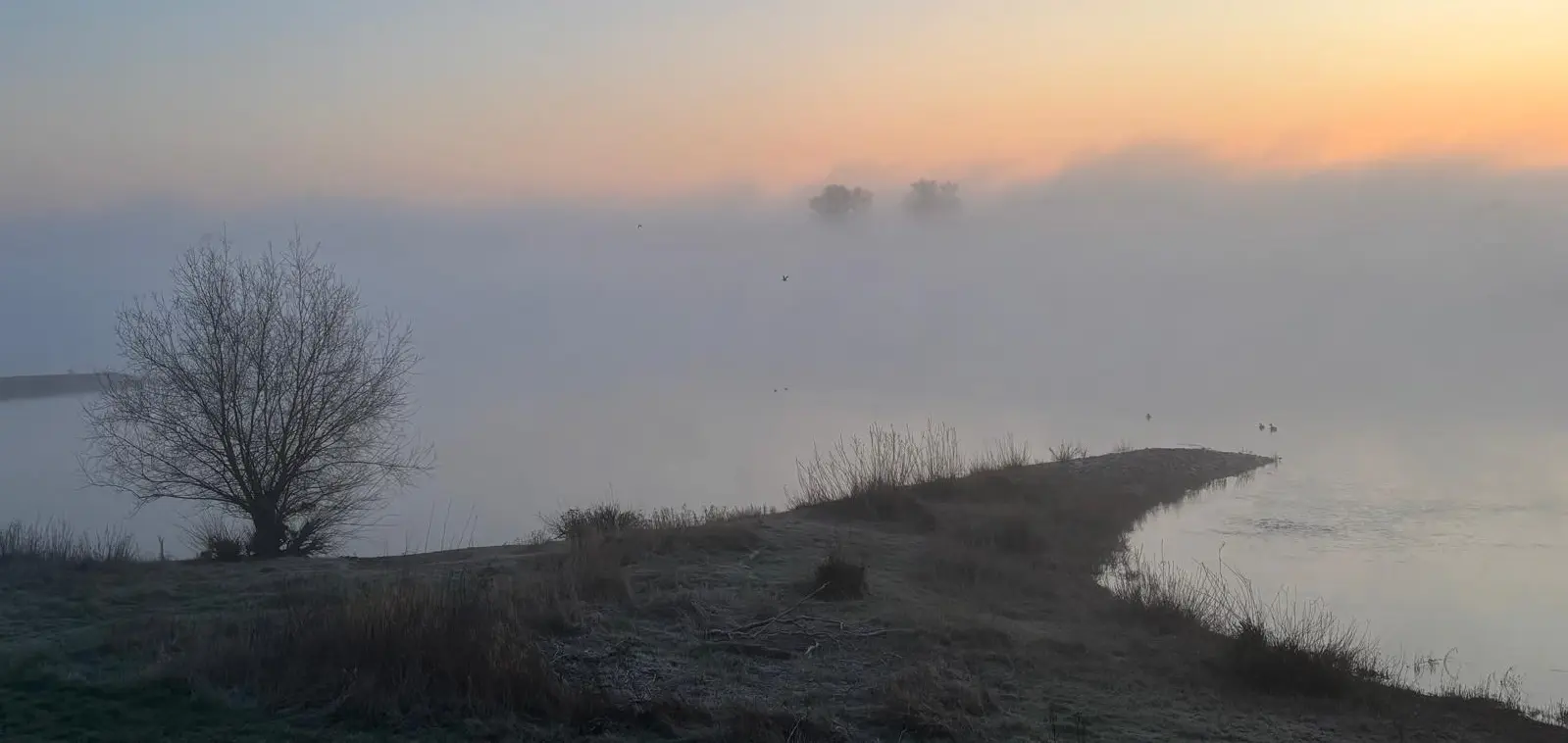 Landschaft nahe der Elbe im Sommer
