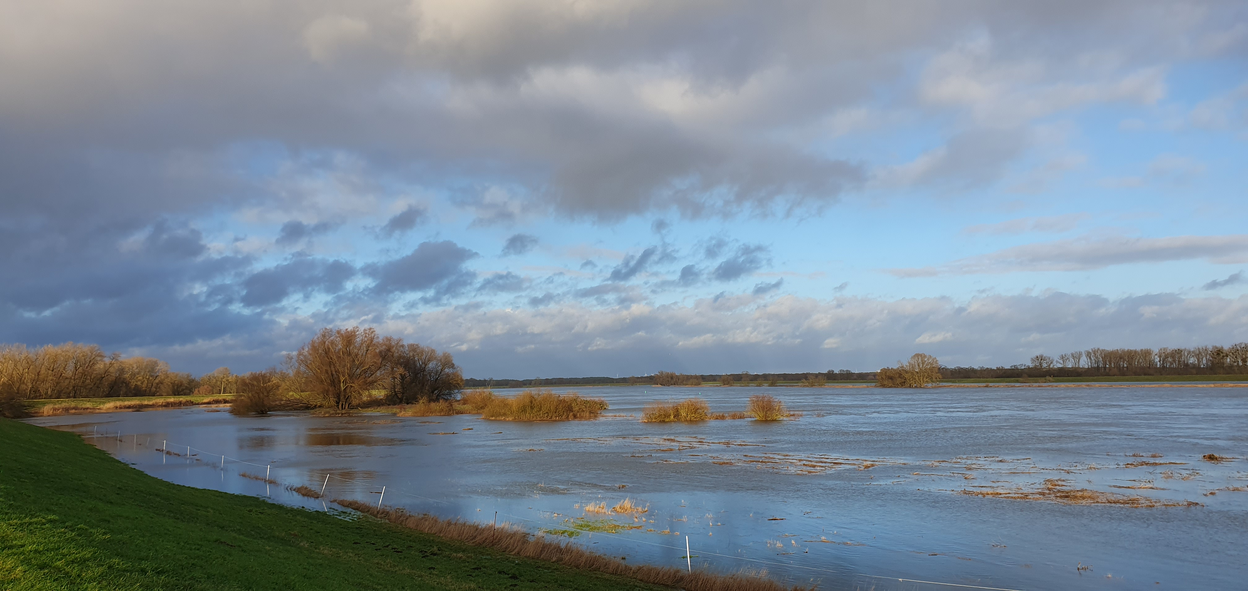 Elbe unter Hochwasser