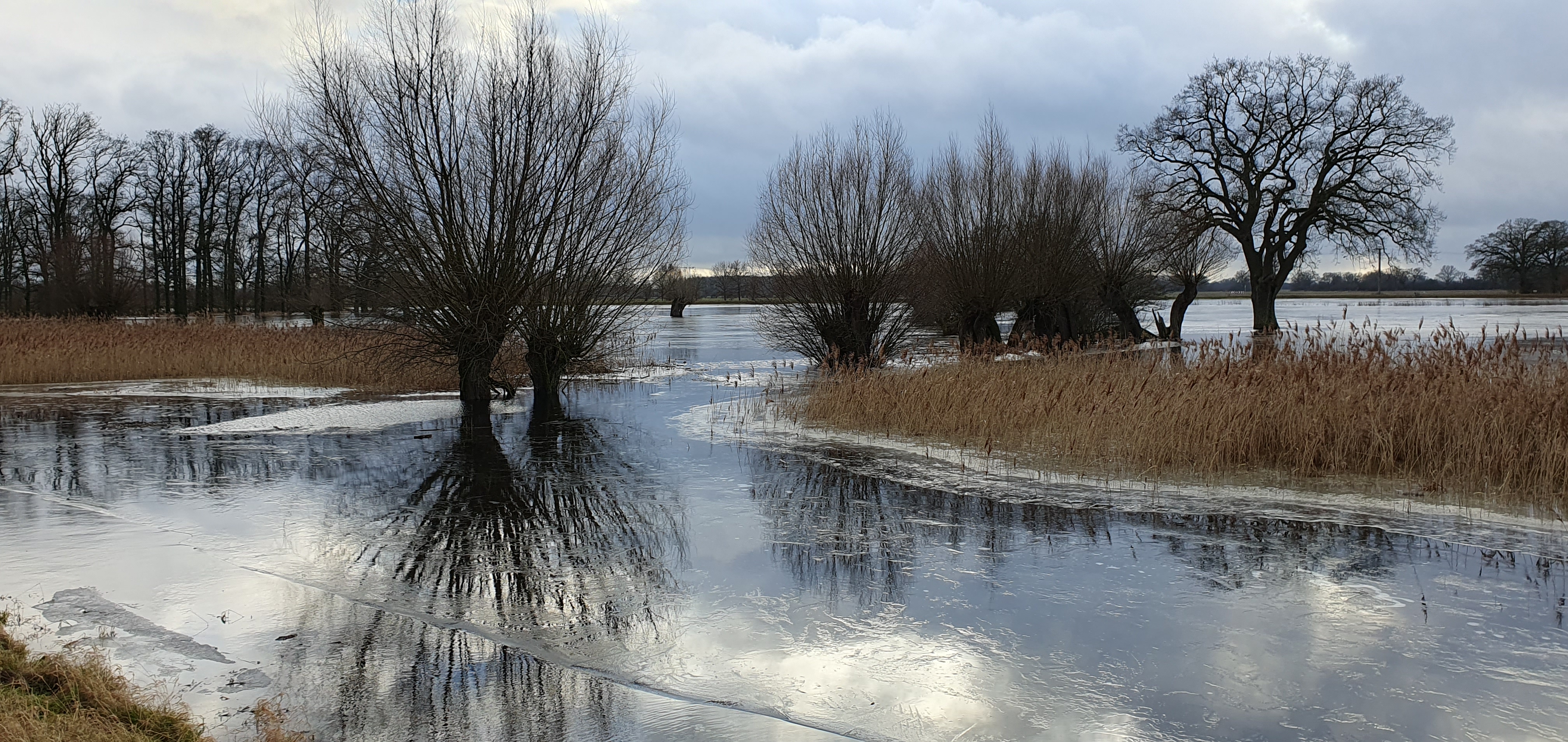 Der Seitenarm der Elbe, Aland, unter Hochwasser im Winter
