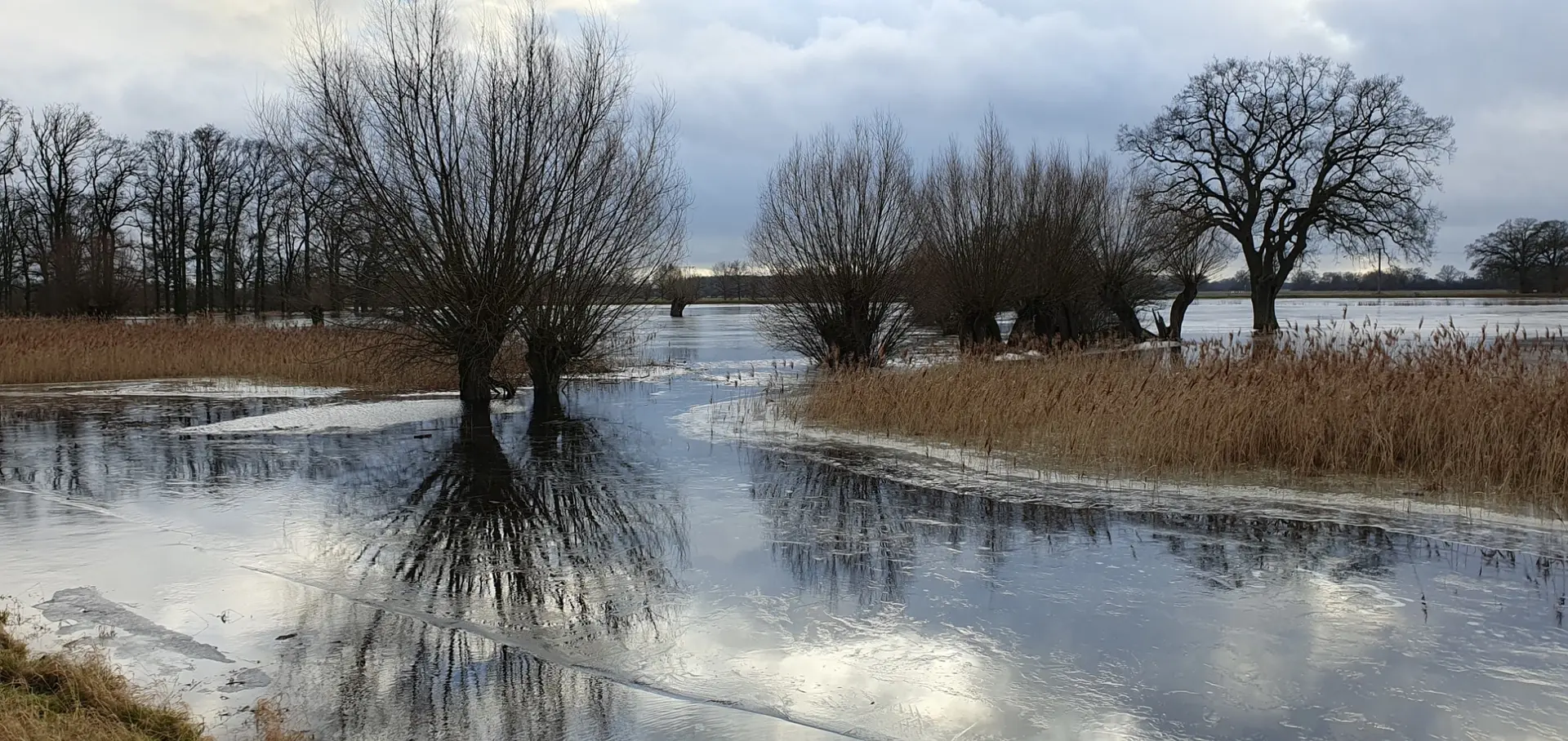 Der Seitenarm der Elbe, Aland, unter Hochwasser im Winter