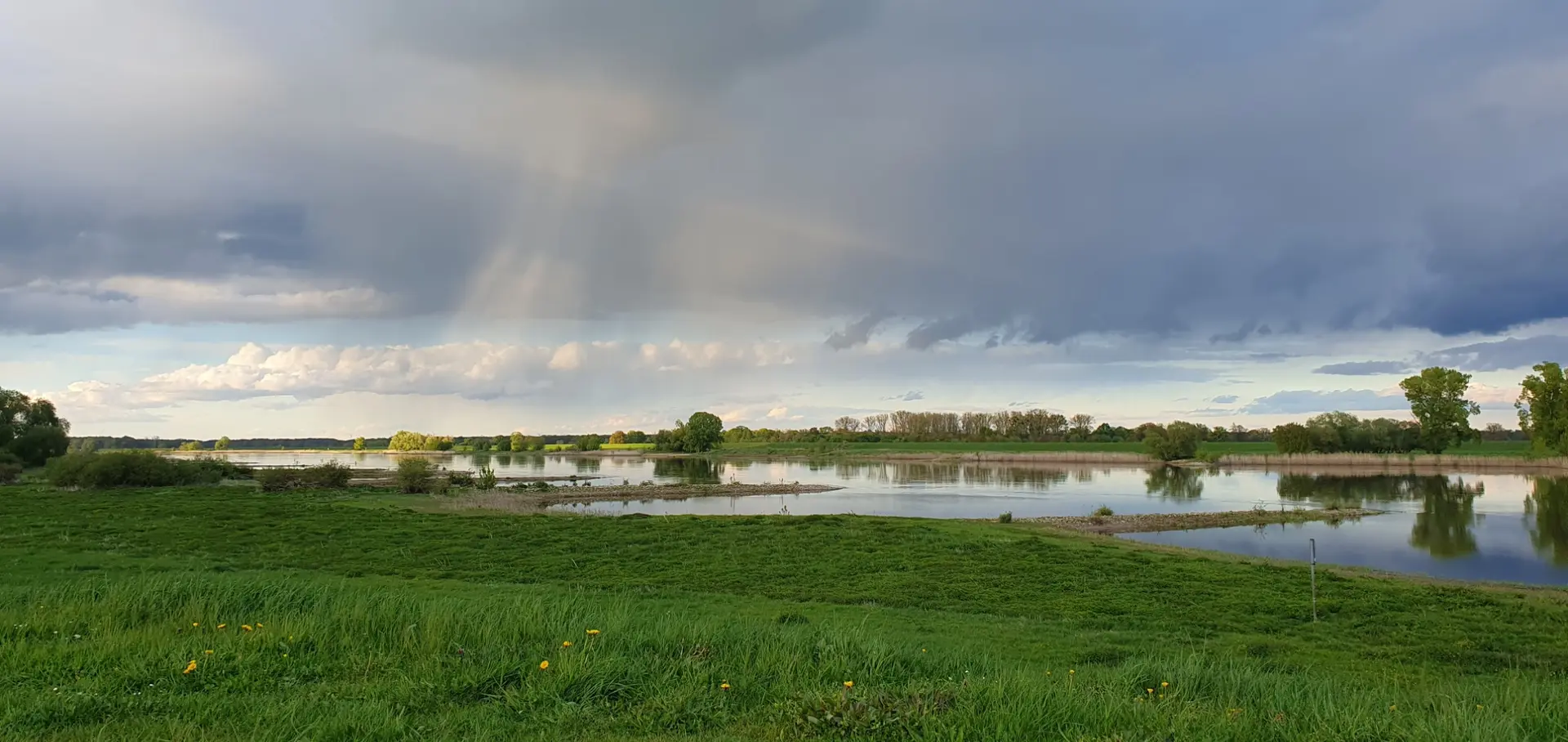 Elbe im Sommer mit dramatischen Wolken und Spiegelung im Wasser